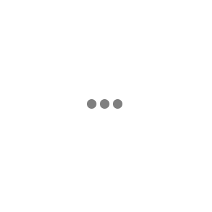 SP36-P3